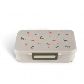 Tritan Lunchbox - Dino