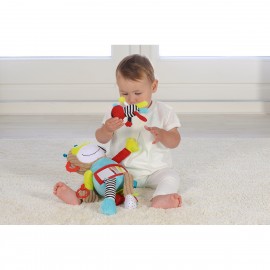 Play and Learn Monkey