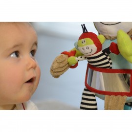 Play and Learn Monkey