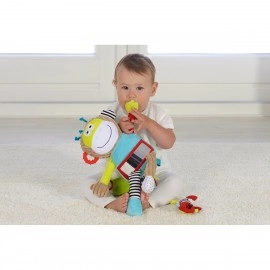 Play and Learn Monkey