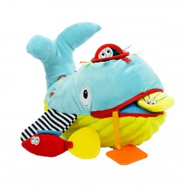 Play and Learn Whale