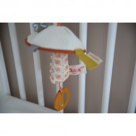 Activity Travel Mushroom