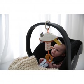 Activity Travel Mushroom