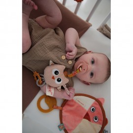 Fiona the Fox Comforter and Oliver the Owl Pacifier Clip Holder
