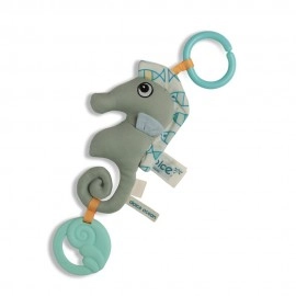 Sammy the Seahorse