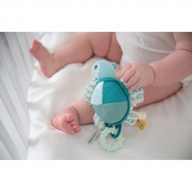 Flippy the Turtle