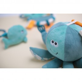 Octo the Octopus