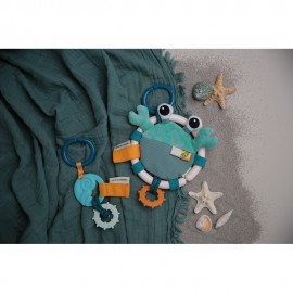 Shelly the Crab and Ocean Activity Teether