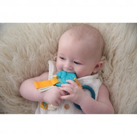 Shelly the Crab and Ocean Activity Teether