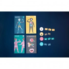 Inside Me - Human Body Game