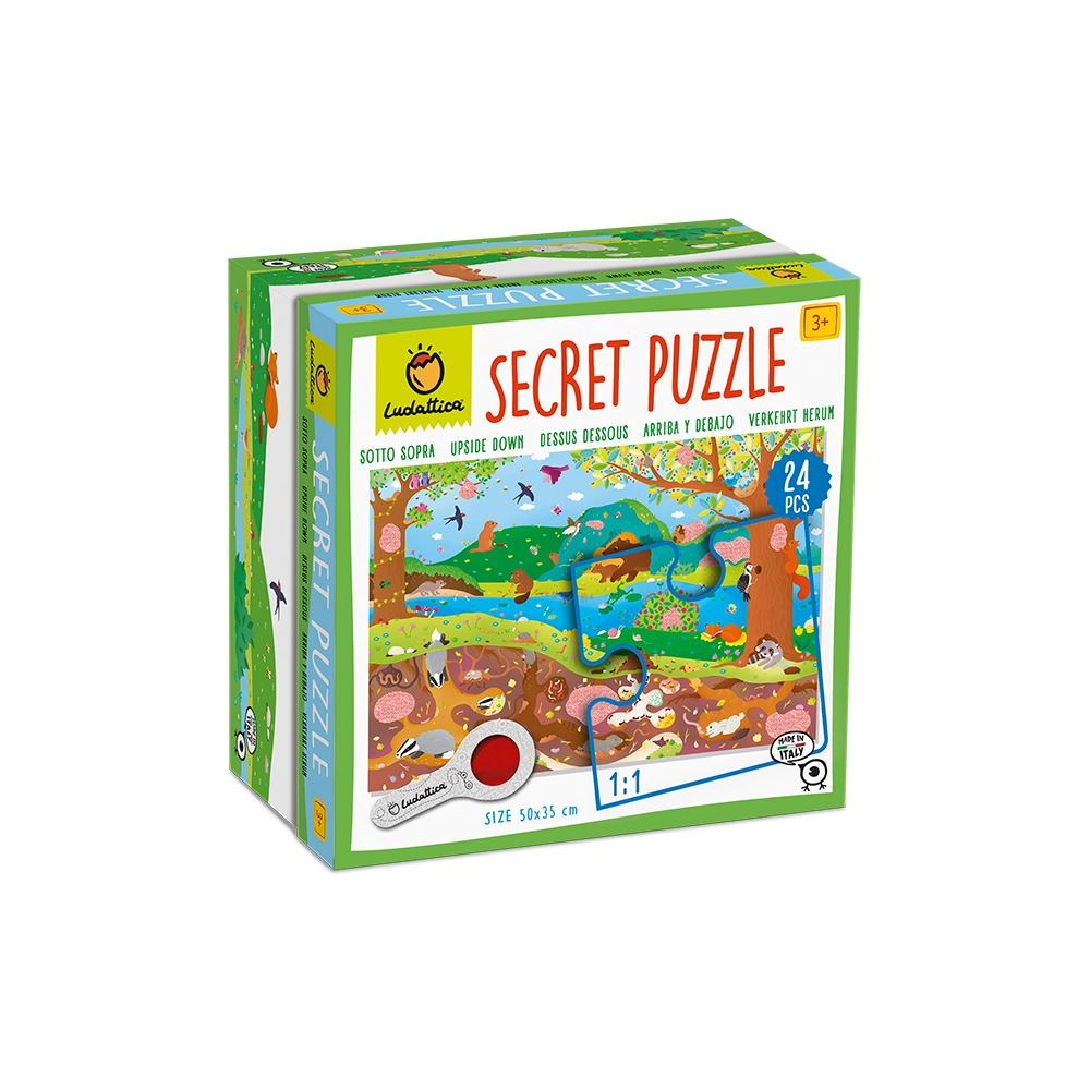 Secret Puzzle - Upside Down
